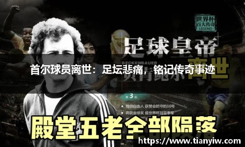 华体会hth首页