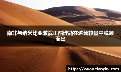 南非与纳米比亚激战正酣谁能在这场较量中脱颖而出