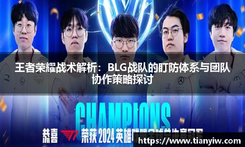 王者荣耀战术解析：BLG战队的盯防体系与团队协作策略探讨